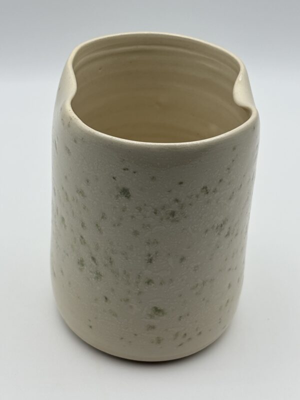 IMG_1417 Vase - Collection LICHEN