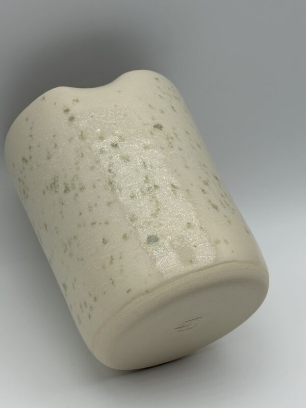 IMG_1418 Vase - Collection LICHEN
