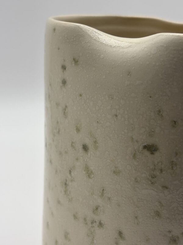 IMG_1641 Vase - Collection LICHEN